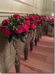 Lots of roses